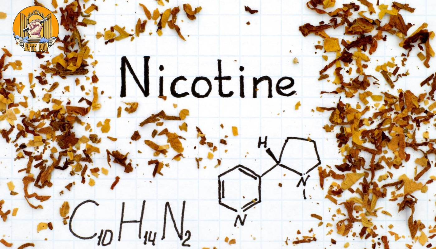 Nồng độ Nicotine trong Pod là gì?